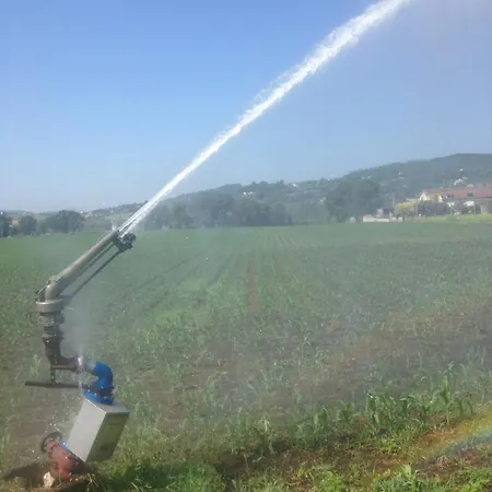 Marzi Farm stay Faicchio