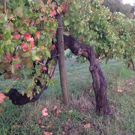 Marzi Farm stay Faicchio