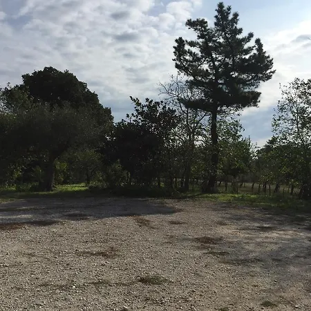 팜스테이 Marzi *