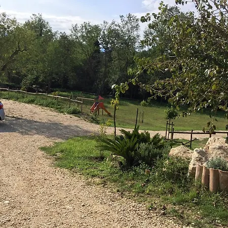 팜스테이 Marzi *