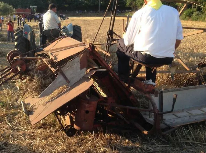 Marzi Фермерский дом